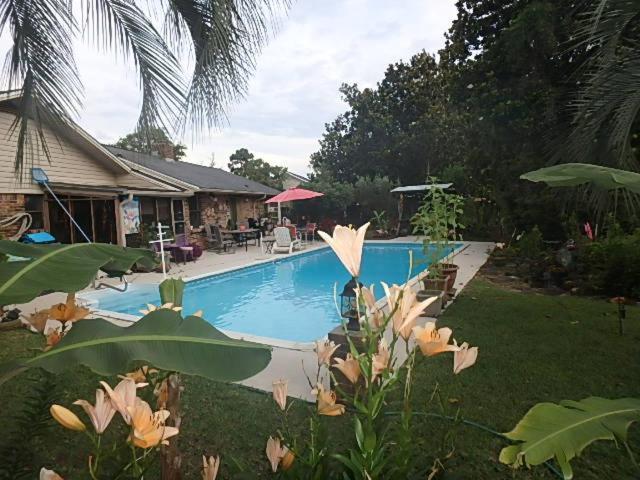 Poolside Paradise نافار المظهر الخارجي الصورة
