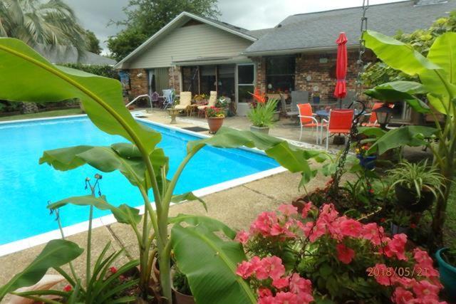 Poolside Paradise نافار المظهر الخارجي الصورة